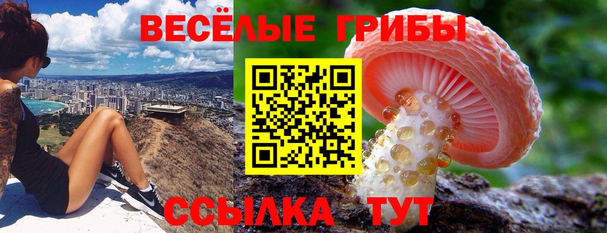наркошоп  Псилоцибиновые грибы MAGIC MUSHROOMS  Вход с VPN  Электросталь 
